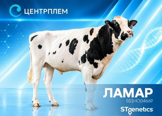 Ламар