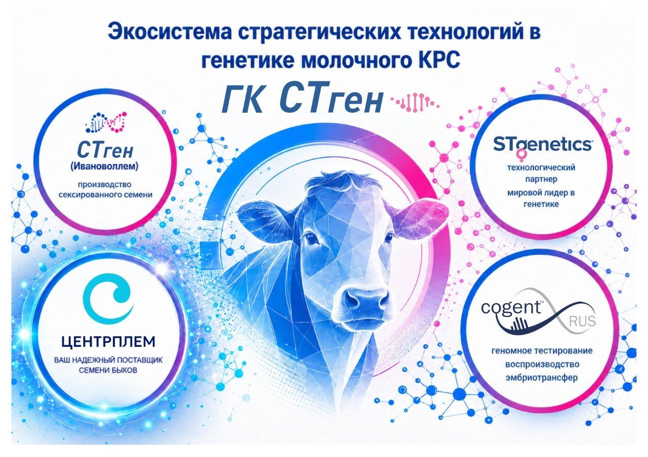 СТген