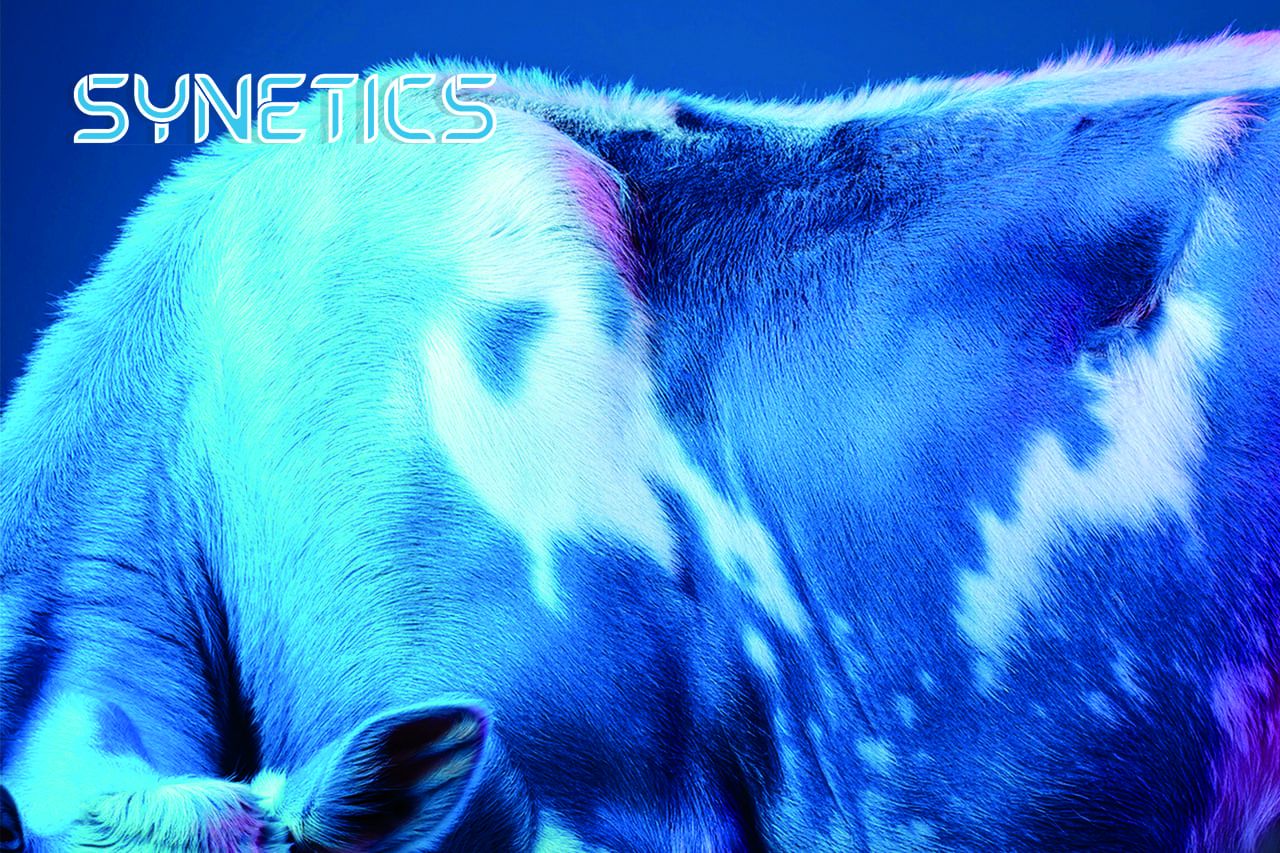 Генетика с французским акцентом: как SYNETICS формирует ферму будущего — и почему это важно для России