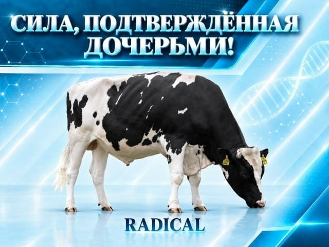 Сила подтвержденная дочерьми